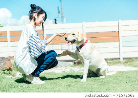 狗吃的食物 71572562