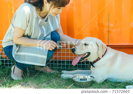 Woman taking care of a dog Woman taking care of a dog 71572605
