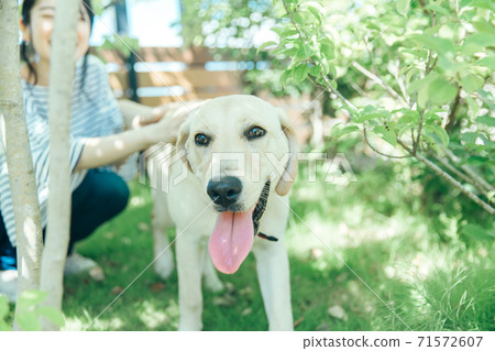 A woman who plays with a dog 71572607