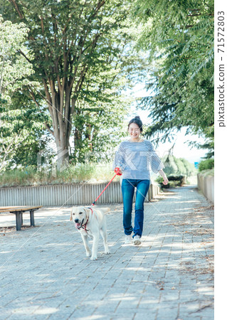 A woman walking a dog A woman walking a dog 71572803