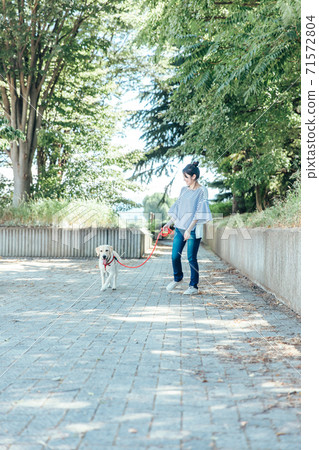 一個女人遛狗 71572804