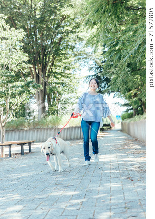一個女人遛狗 71572805