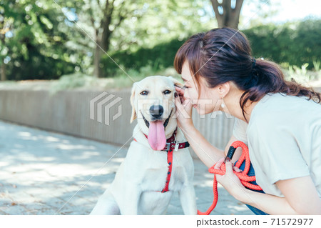 狗與主人散步 71572977