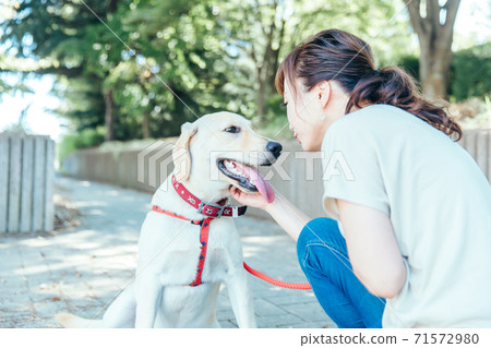 Dog taking a walk with the owner 71572980
