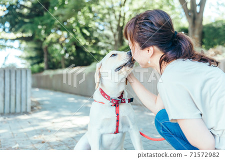 Dog taking a walk with the owner 71572982