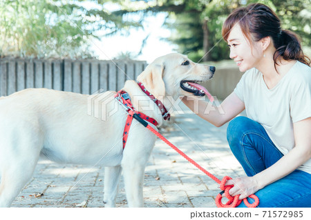 A woman walking a dog 71572985