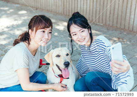 婦女walking狗 婦女walking狗 71572993