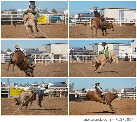 Collage Of Bull Riding At An Outback Rodeo 71573094