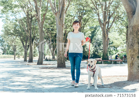 A woman walking a dog A woman walking a dog 71573158