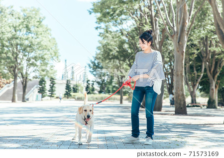 Dog-walking  71573169
