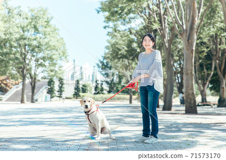 Dog-walking  71573170