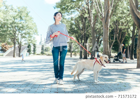 一隻狗的散步 71573172