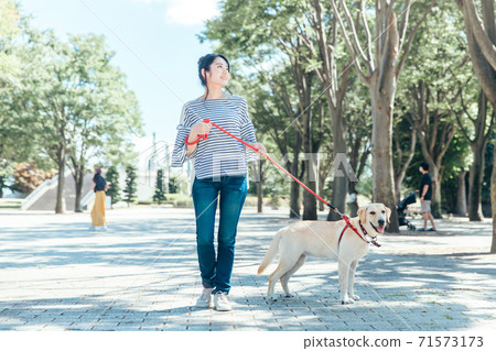 一隻狗的散步 71573173