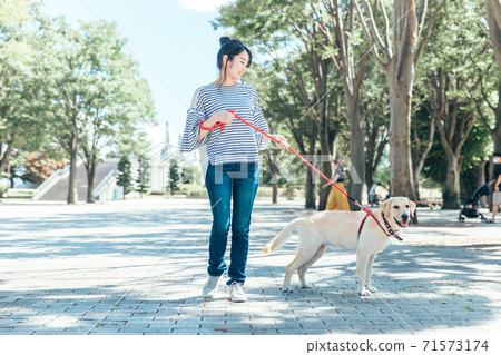 Dog-walking  71573174
