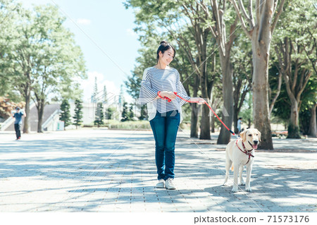 一隻狗的散步 71573176