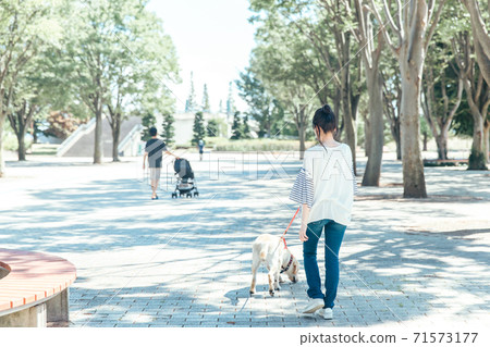 Dog-walking  71573177