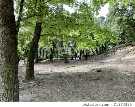 公園 公園 71573356