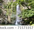 瀑布 71573357