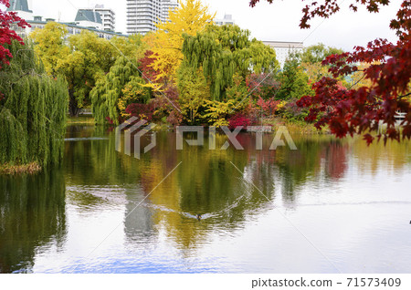 Nakajima Park in Autumn (Sapporo City) Nakajima Park in Autumn (Sapporo City) 71573409