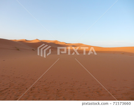 Early morning Sahara Desert in the Merzouga dunes Early morning Sahara Desert in the Merzouga dunes 71573660