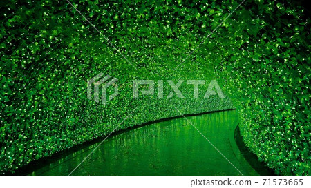 Midori no Hikari Midori no Hikari 71573665