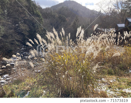Okukinu, Kirifuri Plateau Okukinu, Kirifuri Plateau 71573819