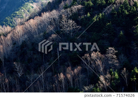 奧久基努（Kirifuri Kogen） 71574026