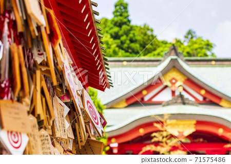 Scenery of Miyagiken Gokoku Shrine Scenery of Miyagiken Gokoku Shrine 71575486