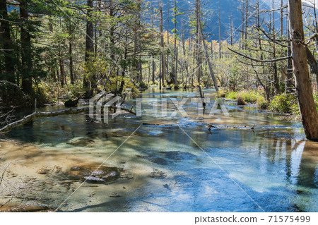 Kamikochi / Dakesawa Marsh / Landscape Kamikochi / Dakesawa Marsh / Landscape 71575499