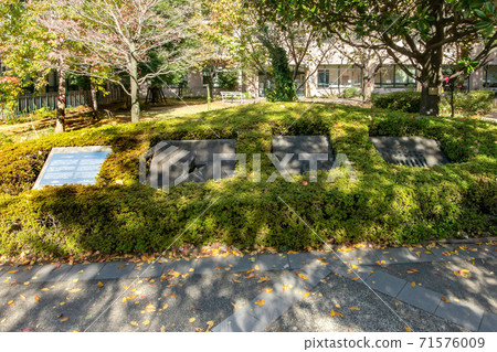 東京中央區聖路嘉國際醫院 71576009