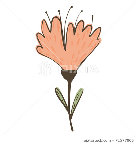 Big flower isolated on white background. Abstract botanical sketch pink and green color hand drawn in style doodle. 71577006