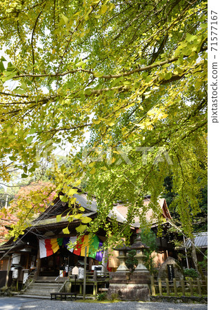 Iwamayama Shohoji Temple (Iwamadera) Main Hall Iwamayama Shohoji Temple (Iwamadera) Main Hall 71577167