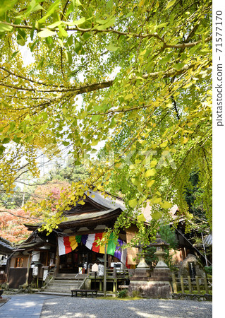 岩山山莊堂寺（岩間寺）正殿 71577170