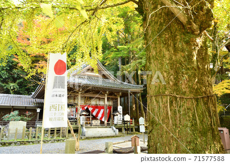 岩山山莊司（岩間寺）Fudodo和Ginkgo Oki 71577588