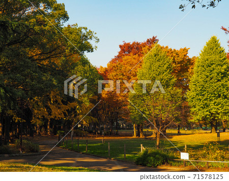 秋塚公園的秋葉 秋塚公園的秋葉 71578125