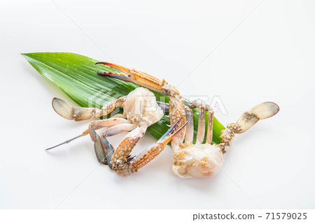 Gazami crab Gazami crab 71579025