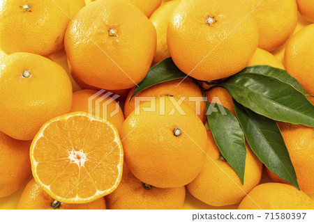 Many oranges and tangerines lined up _ with slices and leaves Many oranges and tangerines lined up _ with slices and leaves 71580397