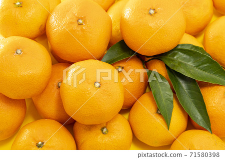 Many oranges and tangerines lined up with leaves Many oranges and tangerines lined up with leaves 71580398