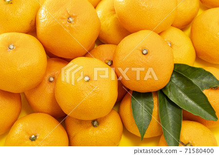 Many oranges and tangerines lined up with leaves Many oranges and tangerines lined up with leaves 71580400