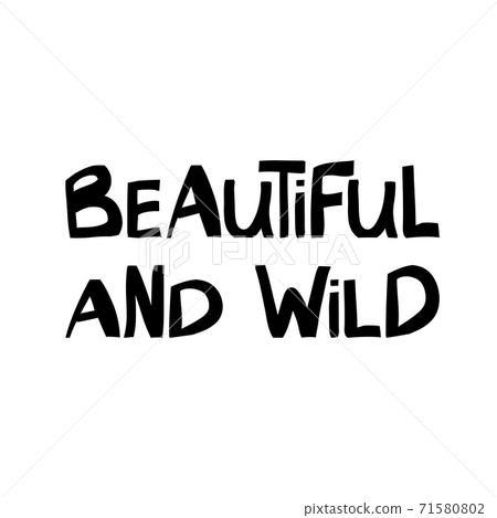Beautiful and wild. Cute hand drawn lettering in modern scandinavian style. Isolated on white background. Vector stock illustration. Beautiful and wild. Cute hand drawn lettering in modern scandinavian style. Isolated on white background. Vector stock illustration. 71580802