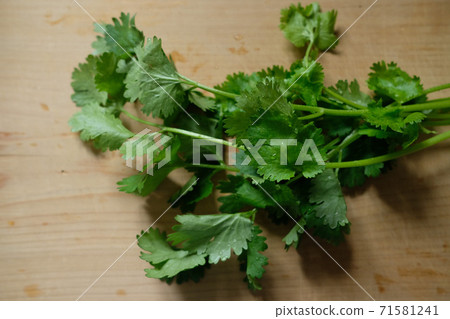 Fresh coriander on a wooden chopping board Fresh coriander on a wooden chopping board 71581241