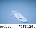 Bird feather with water drop 71581261