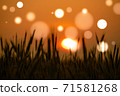 Wheat field at sunset with bokeh effect 71581268