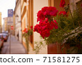 Flowers on the windowsills of a house in the old district of Prague 71581275