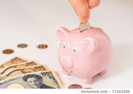 Pig money box Pig money box 71581886