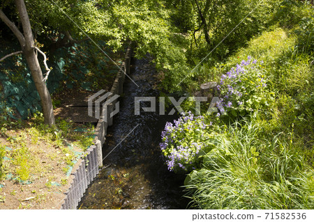 Nuclear fire water Nuclear fire water 71582536