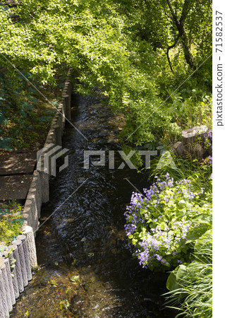 Nuclear fire water Nuclear fire water 71582537