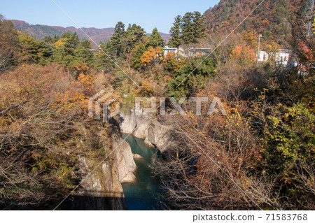 Tetori峽谷的秋葉 Tetori峽谷的秋葉 71583768