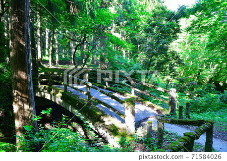 荒川賢六(新潟縣) 荒川賢六(新潟縣) 71584026
