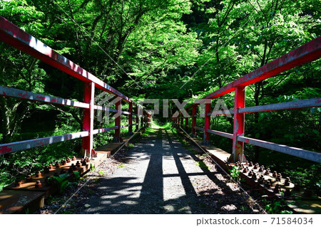 Arakawa Kenryukyo (Niigata Prefecture) Arakawa Kenryukyo (Niigata Prefecture) 71584034